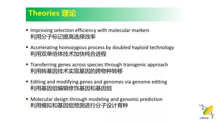 新澳天天开奖资料大全最新,理论解答解释落实_suite64.552